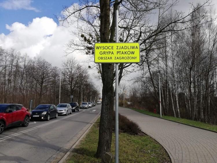 Ptasia grypa we Wrocławiu. Siedem osiedli w obszarze zagrożonym [ZDJĘCIA]