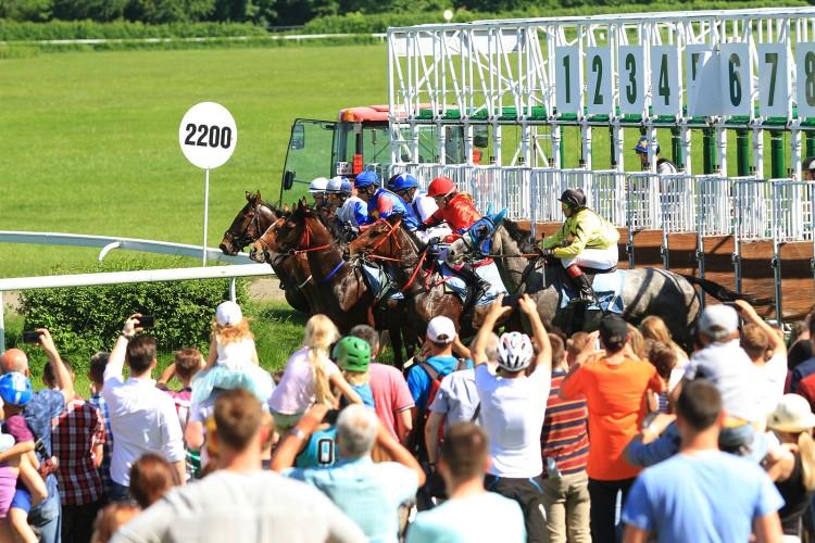 Ostatni sprawdzian przed Crystal Cup. Czwarty dzień wyścigowy na Partynicach za nami [ZDJĘCIA]