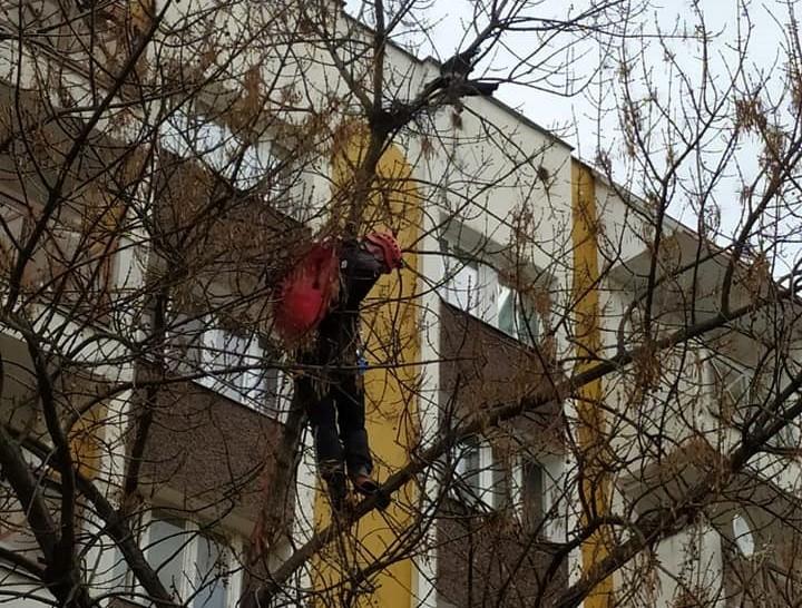 Ależ akcja wrocławskich strażaków! Ludzie bili im brawo!