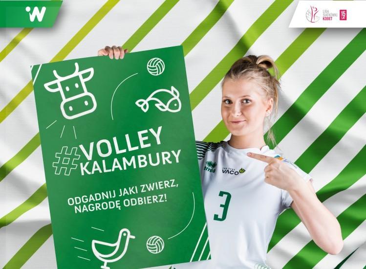 #VolleyWrocław przygotował konkurs dla kibiców. Ruszają #VolleyKalambury