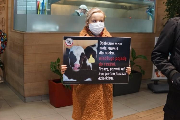 Wrocław: protest wegan w McDonald