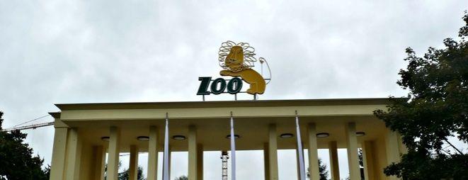 Radny pyta: dlaczego ZOO planuje podwyżkę cen biletów? I czy będą osobne wejściówki do Afrykarium?