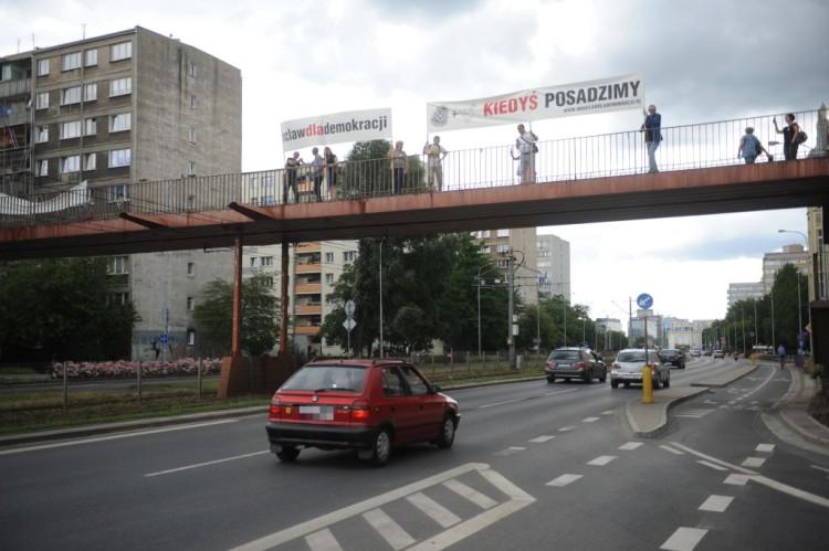 Wrocław: kolejny protest przeciwko wycince Puszczy Białowieskiej [ZOBACZ ZDJĘCIA]