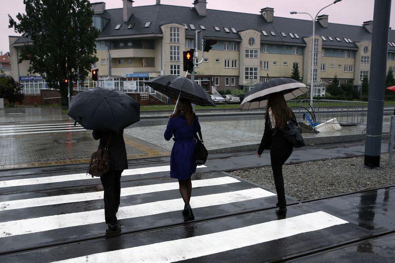 Bardzką tramwaje nie jeźdżą, bo ich nie pożyczyliśmy 