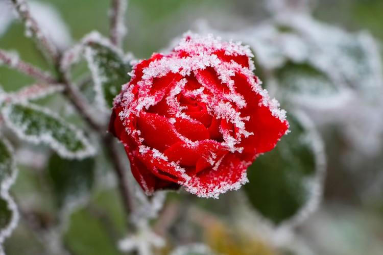 We Wrocławiu spadnie deszcz ze śniegiem. A potem wróci lato