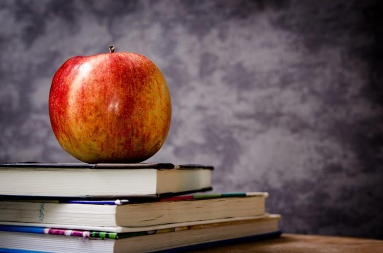 Uczniowie tych podstawówek będą musieli przeprowadzić się do nowej szkoły [REFORMA EDUKACJI]