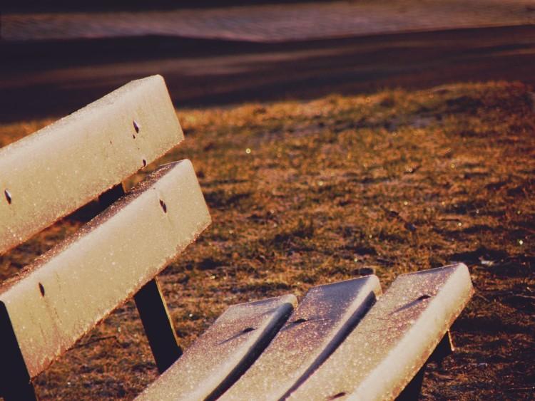 Wrocław: szykują się zmiany w nazewnictwie ulic i parków