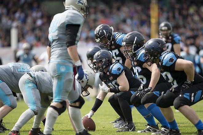 Panthers w drodze po kolejne zwycięstwo ogłaszają wyjątkowy konkurs