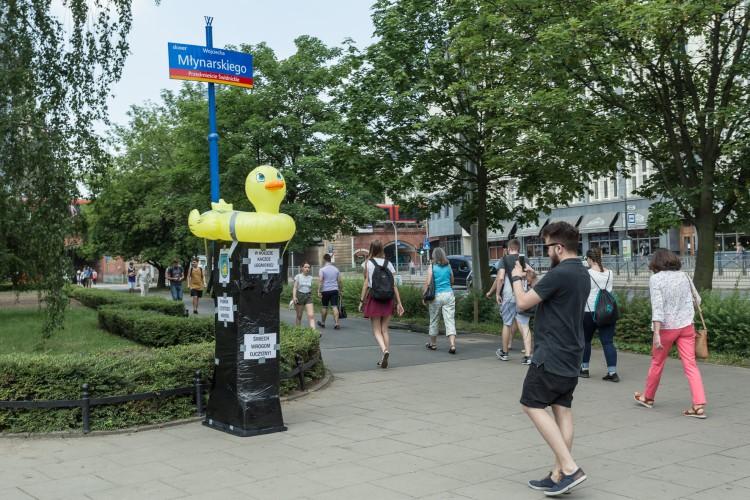 We Wrocławiu stanął pomnik „gumowej kaczki”. O co chodzi? [ZDJĘCIA]
