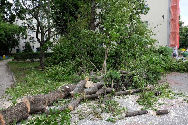 Jest podsumowanie skutków burzy we Wrocławiu. Ale koszty strat są jeszcze szacowane