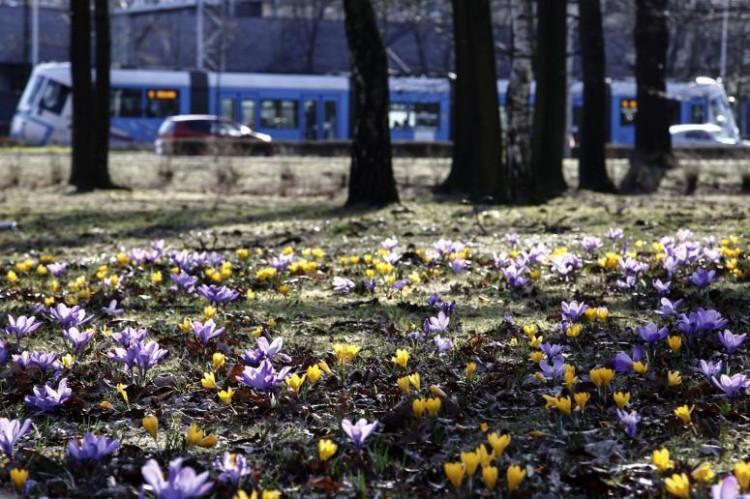 Pogoda w Wielkanoc rozweseli największych mruków. Gorzej z majówką