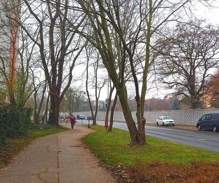 Bezpieczniej na Popowicach. Miasto wybuduje nowe przejście dla pieszych