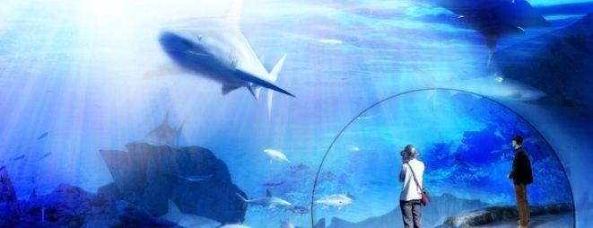 W ZOO ruszyła budowa Afrykarium-Oceanarium [WIZUALIZACJA VIDEO]