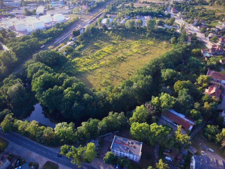 Czarna Woda. Na Swojczycach odtworzą duży, dziki park
