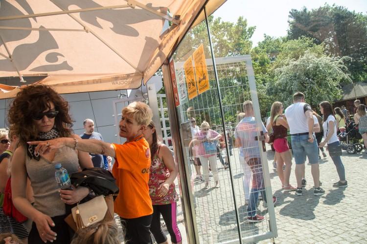 Tłumy chętnych do odwiedzenia zoo. Spore kolejki i korki w okolicy [ZDJĘCIA]