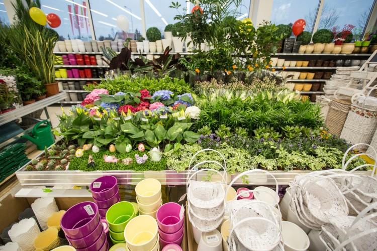 Pierwsze Bricomarché we Wrocławiu rusza w środę. A w środku 28 tysięcy artykułów [ZDJĘCIA]