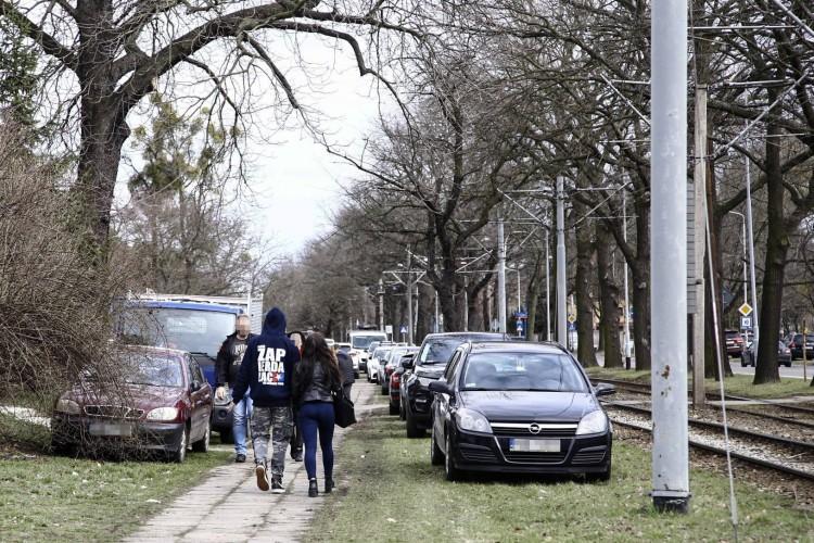 Przyjechali oglądać motocykle, samochodami rozjeździli trawniki [ZDJĘCIA]