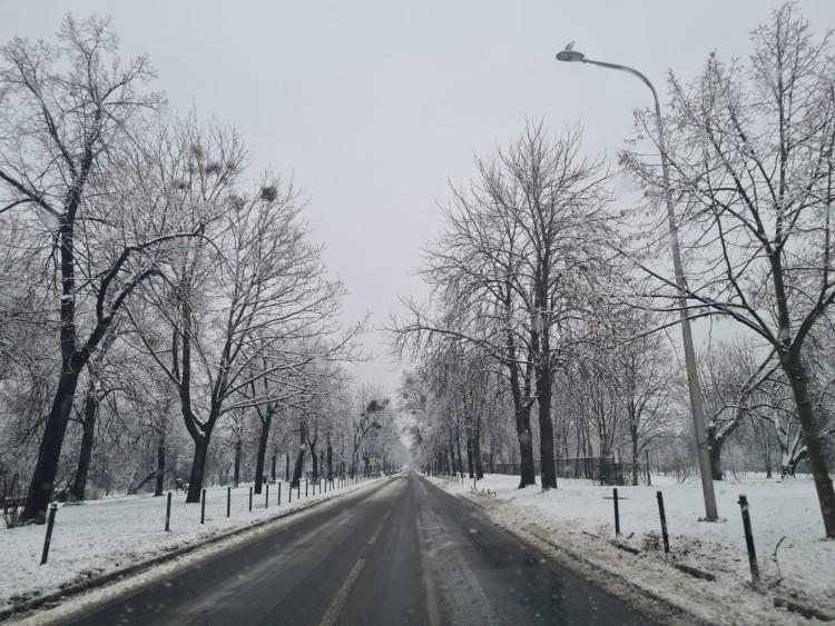 Ostrzeżenie meteorologiczne dla Wrocławia. Będzie ślisko!