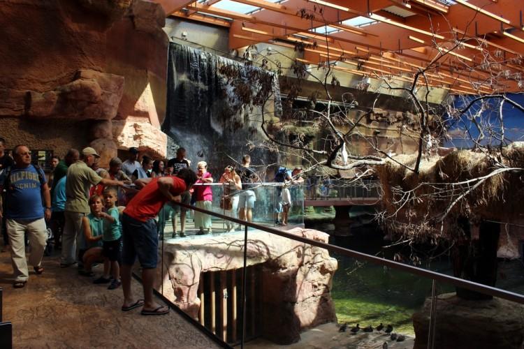 Wrocławskie Afrykarium ma już dwa lata!