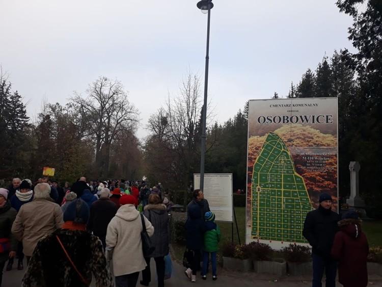 Tłumy na wrocławskich cmentarzach. Specjalna organizacja ruchu w mieście [ZDJĘCIA]