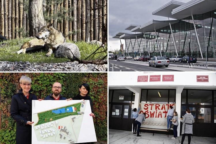 Nowy wybieg dla wilków i szokujące odkrycie na Nadodrzu [PODSUMOWANIE DNIA]