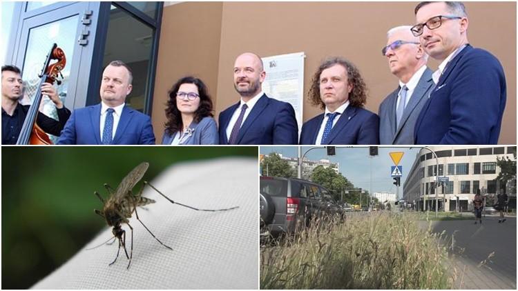 Nieskoszone trawniki, walka z komarami i szczęśliwy finał poszukiwań porwanej wrocławianki [PODSUMOWANIE DNIA]