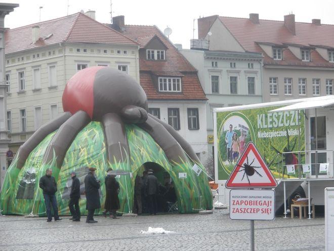 To już ostatni dzwonek- zaszczep się!