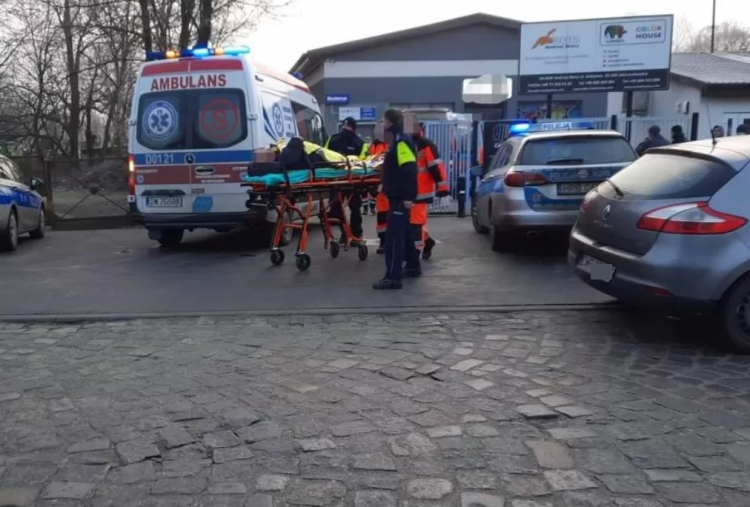 Właściciel sklepu na oczach klientów strzelił synowi w tył głowy. Dziś usłyszał wyrok