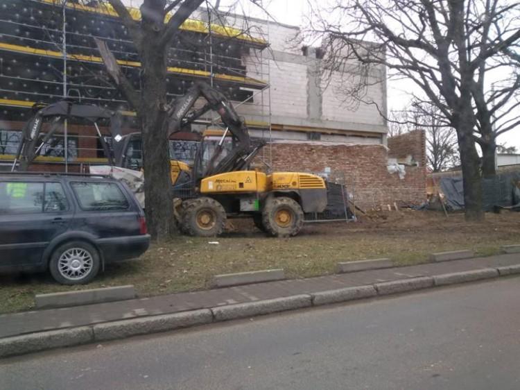 Zniszczone drzewa podczas budowy supermarketu. Inwestor interweniuje