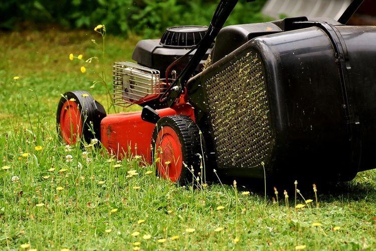 Awantura o zbyt głośną kosiarkę zakończyła się jej kradzieżą