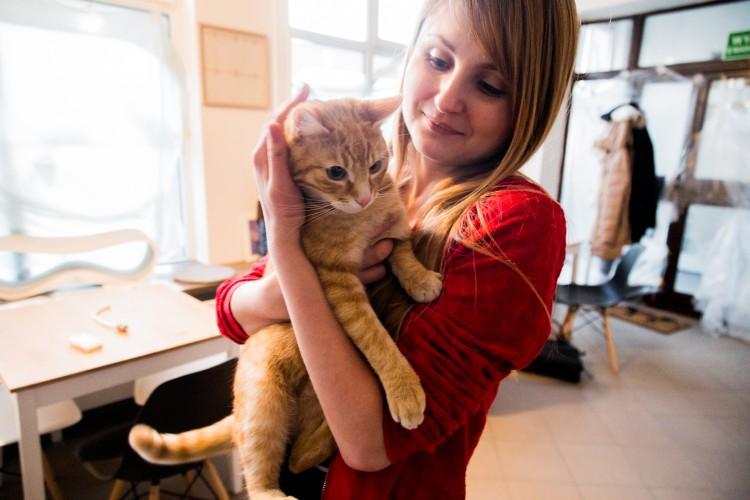 Kot Cafe otwiera się na Nadodrzu. Zamieszkało tam pięć adoptowanych kotów [ZDJĘCIA]