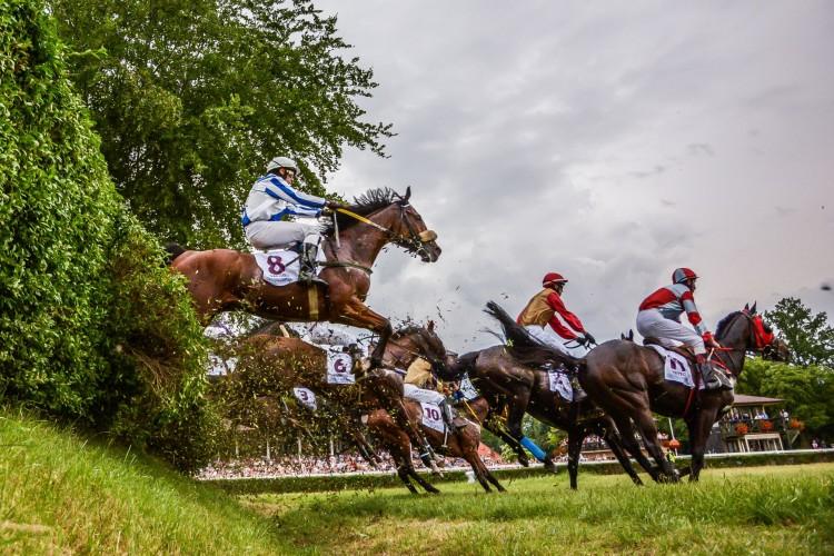 Crystal Cup & Ladies Day. Międzynarodowe gonitwy i święto wyścigowej elegancji