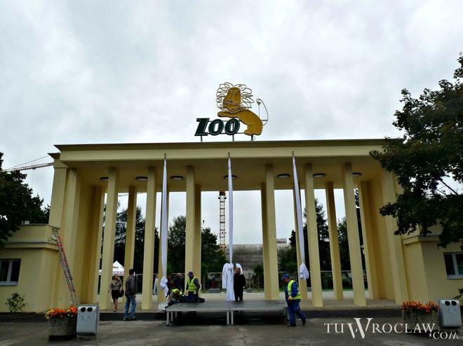 Aż do końca marca do ZOO wejdziemy taniej. Wkrótce do ogrodu przyjedzie nowe zwierzę