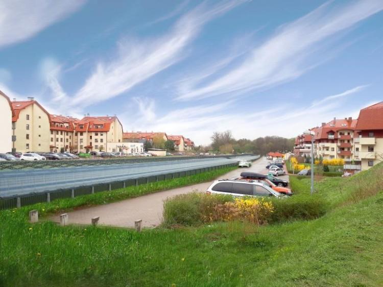 Rzadki motyl kontra rady osiedli. Kto wygra walkę o Wschodnią Obwodnicę Wrocławia?