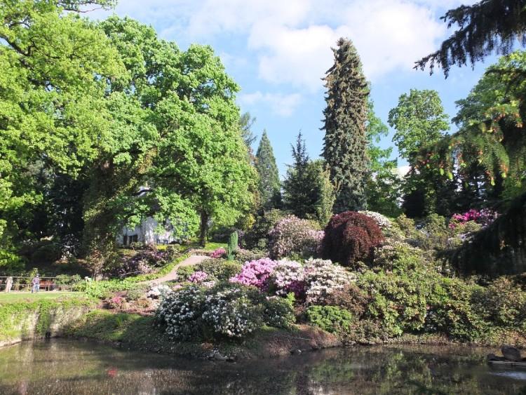 Arboretum Wojsławice - kiedy otwarcie w 2024 roku?