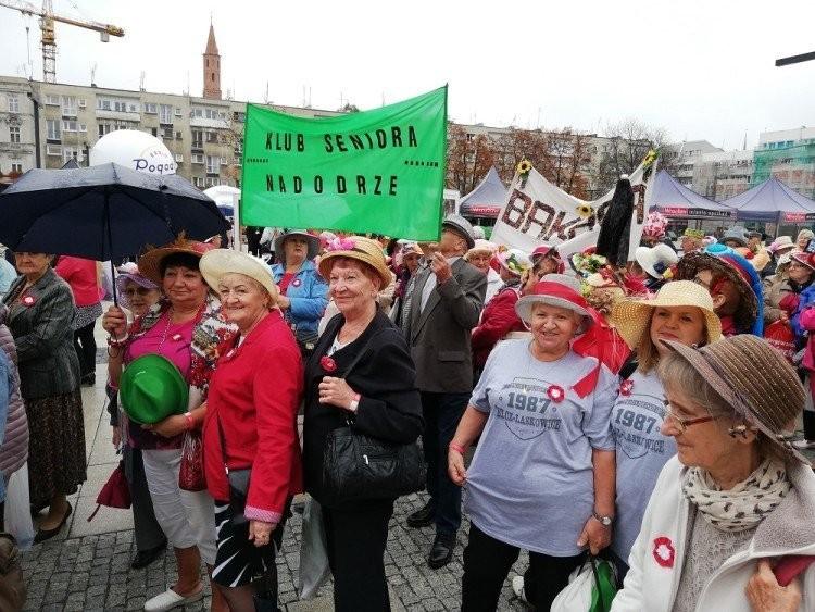 Wrocław: Bez pieniędzy dla rad osiedli. Miasto szuka oszczędności