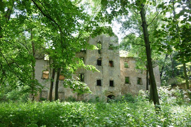 Wrocławska ANR sprzedała dwa zrujnowane dolnośląskie pałace. Będą tam hotele