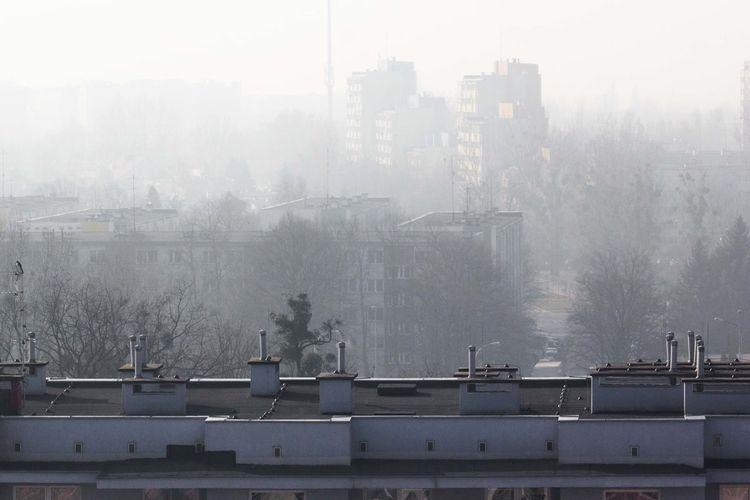 Smog nad Wrocławiem. Jakość powietrza bardzo zła, normy przekroczone kilkukrotnie [ZDJĘCIA]