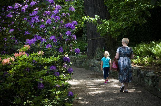 Zbliża się Wrocławskie Święto Mąki w Ogrodzie Botanicznym