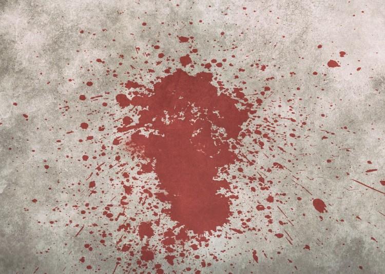 Morderstwo na imprezie pod Wrocławiem. Kobieta zadźgała swojego kompana