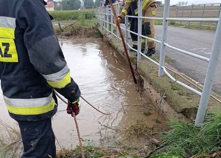 Wrocław: Wysoki poziom wody w rzece. IMGW rozważa ogłoszenie ostrzeżenia