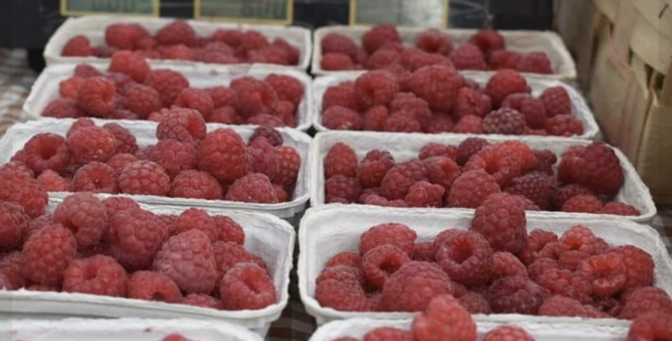 Wielkie targowanie na Zwycięskiej. Wesprzyj lokalnych producentów żywności