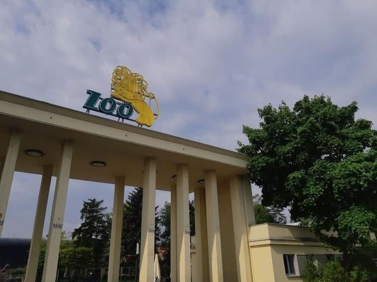Wrocław: Nowa inwestycja w zoo za 7,5 mln zł. Co to będzie?