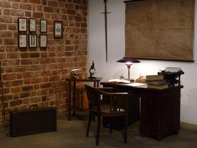 Świat w naszym muzeum