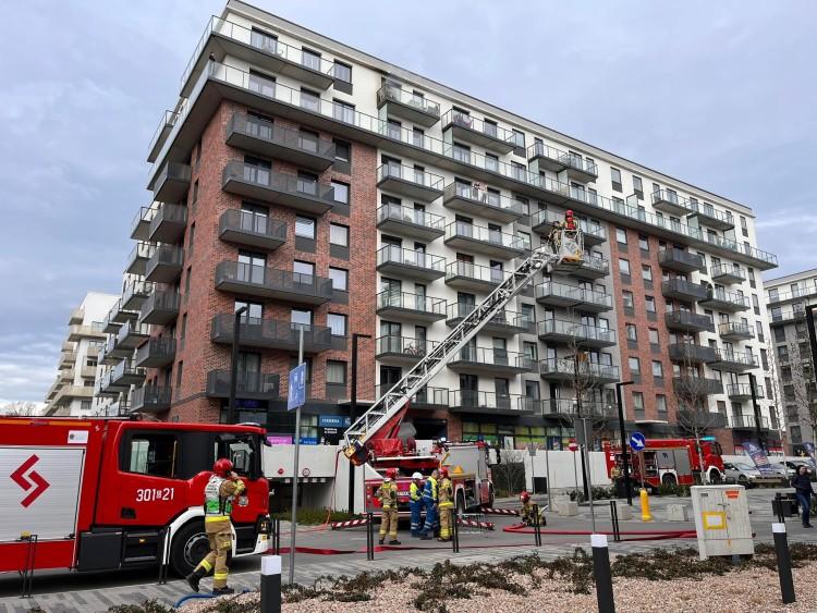Wrocław: Pożar mieszkania przy ul. Białowieskiej. Akcja strażaków na ósmym piętrze