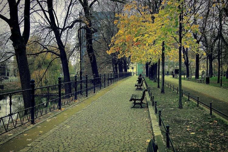 Ochłodzenie we Wrocławiu. Idzie jesień?