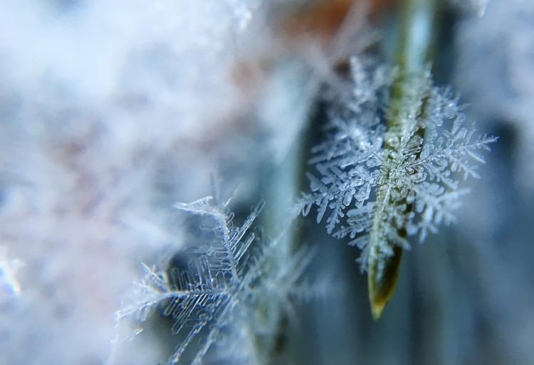 Wrocław: Synoptycy zapowiadają przymrozki [26.04.2021]
