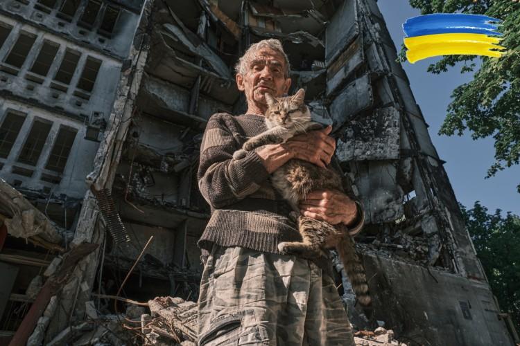 Koty uratowane na Ukrainie przyjechały do Wrocławia. Będą do adopcji [ZDJĘCIA]