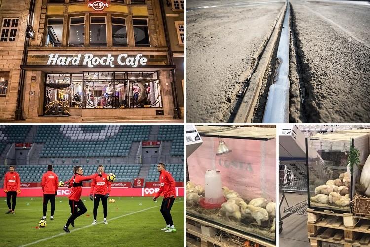 Wrocławski czwartek. Zamknięte torowisko, kurczęce dekoracje i piłkarze na Stadionie Wrocław [PODSUMOWANIE DNIA]