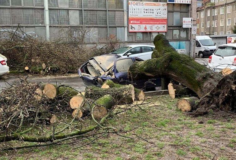 Strażacy usuwają skutki nocnej wichury. Drzewo uszkodziło cztery samochody